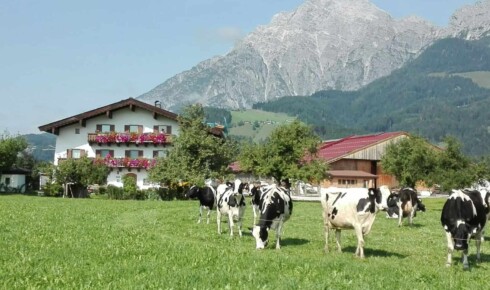 Hauserhof