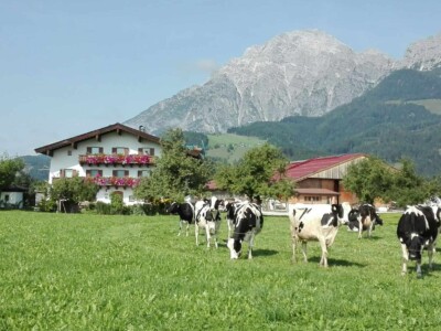 Hauserhof